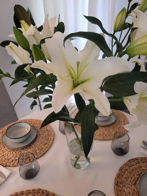 View Lovely 3Bed-2Bath Condo Full Furnished. Vittorio Veneto
